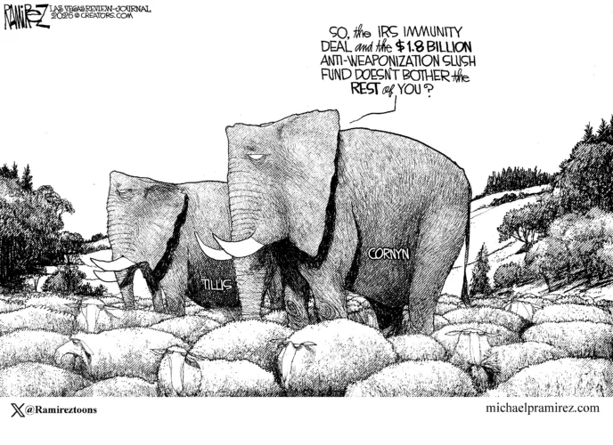 Cartoon commentary